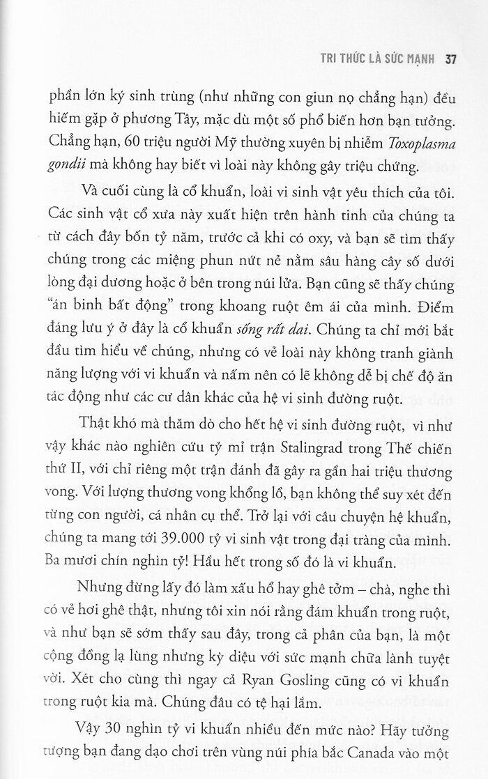 chất xơ diệu kỳ