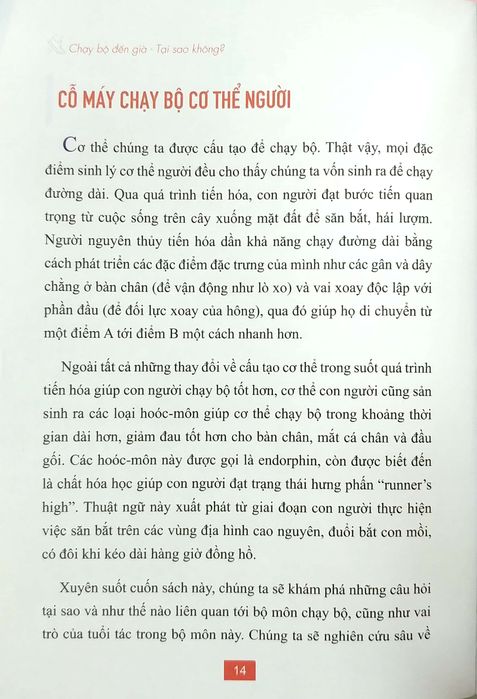 chạy bộ đến già tại sao không? phương pháp chạy bộ không chấn thương, mạnh mẽ và vui vẻ suốt đời