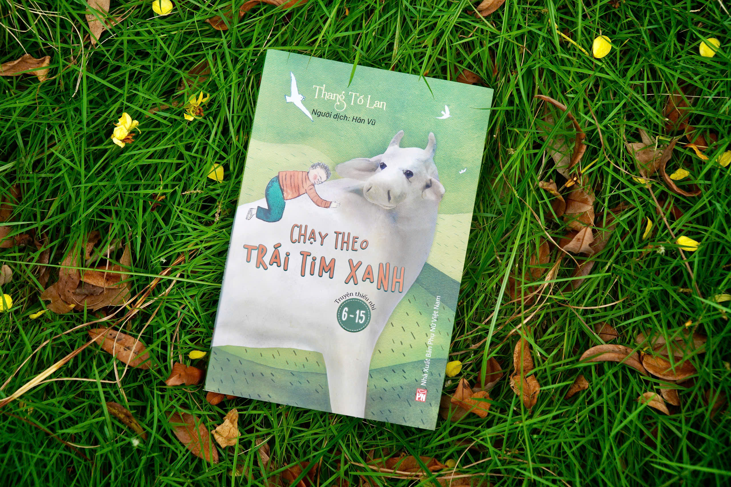 Chay Theo Trai Tim Xanh