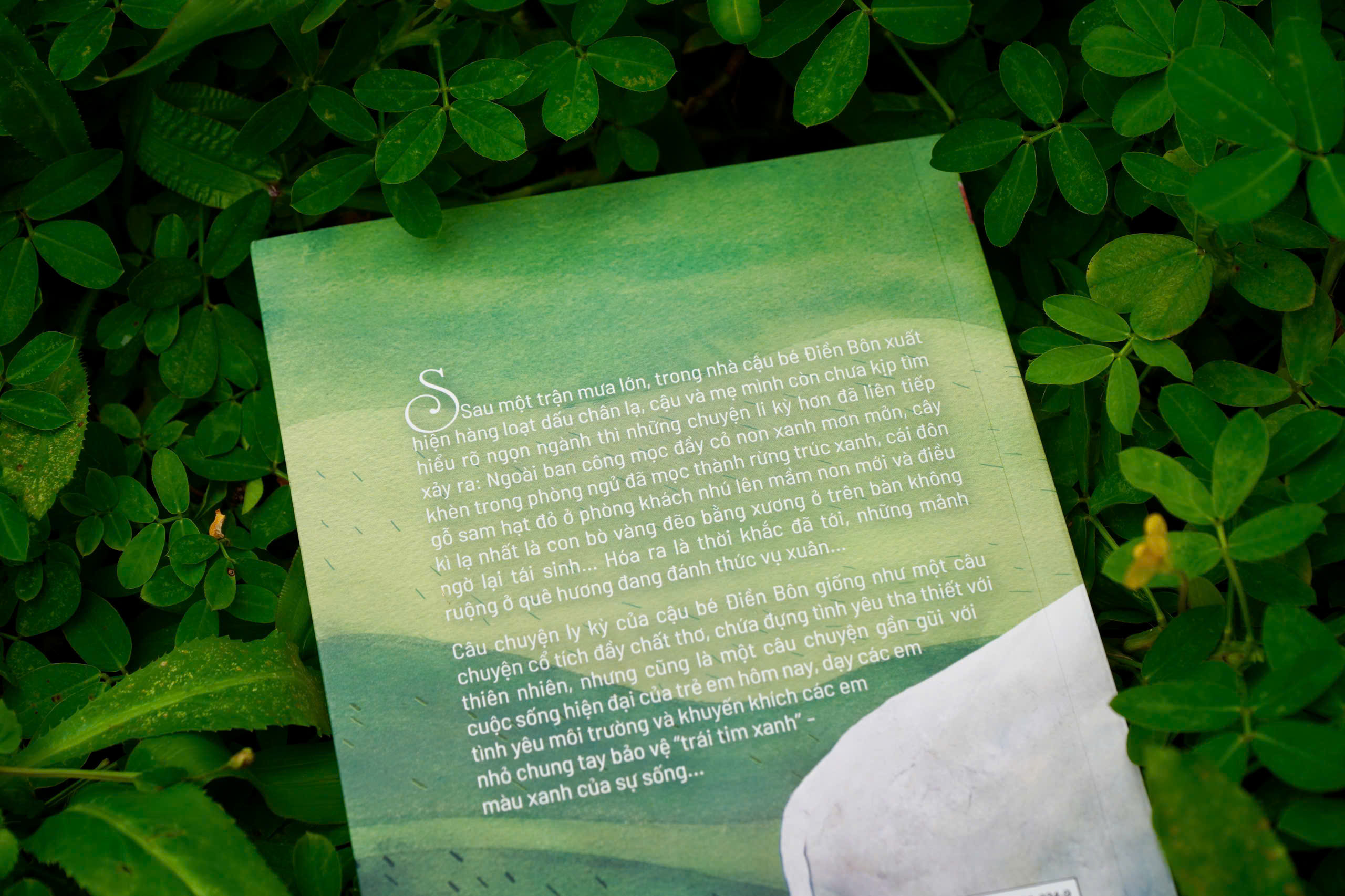 Chay Theo Trai Tim Xanh