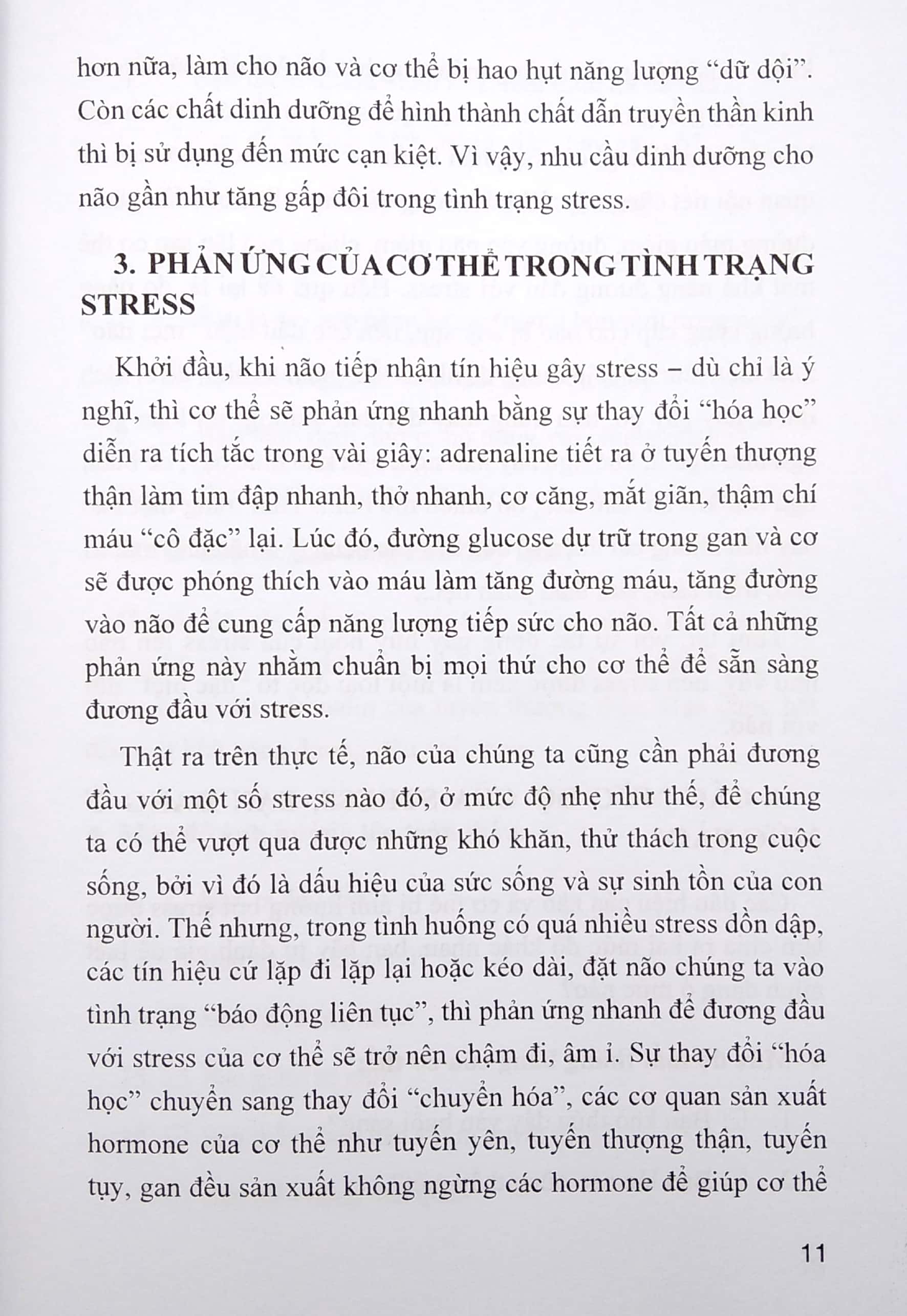 chế độ ăn bổ trí não giảm stress
