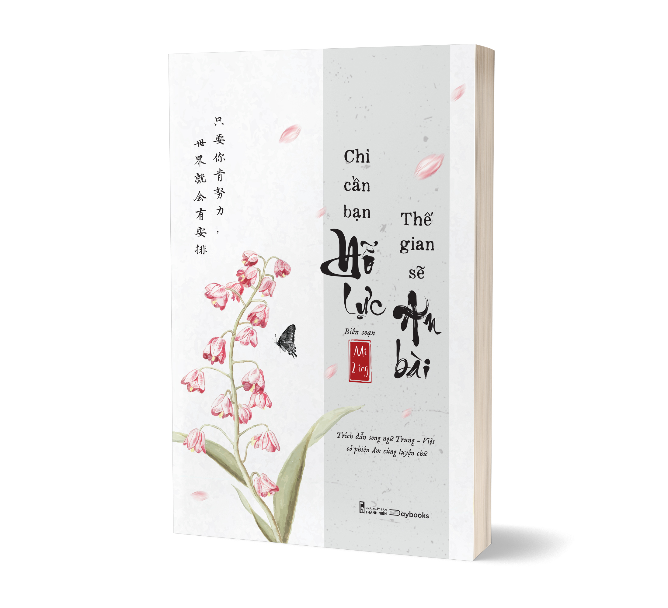 chỉ cần bạn nỗ lực - thế gian sẽ an bài