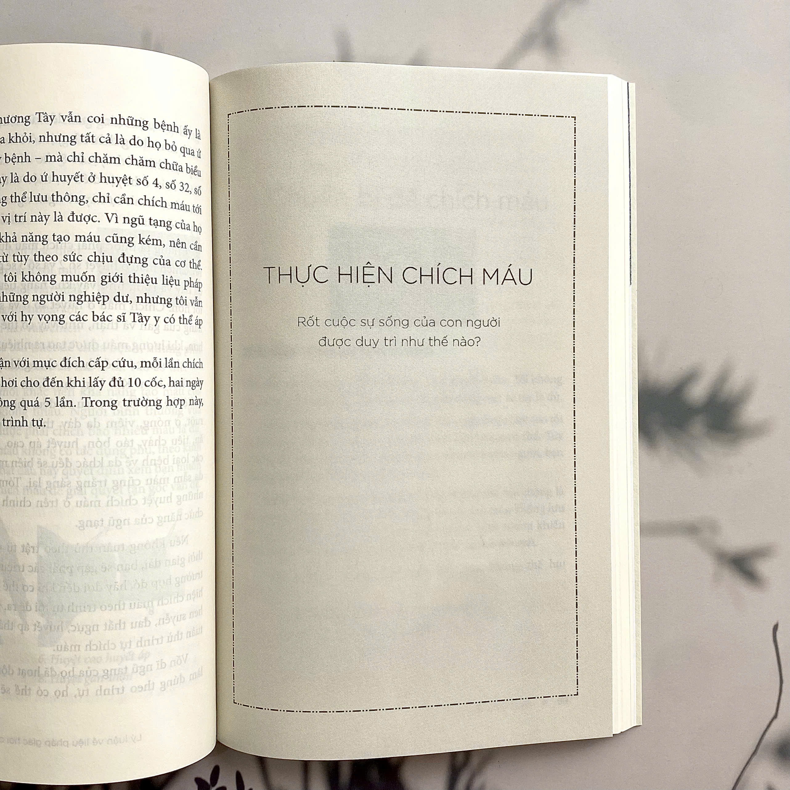 Chi Can Mau Sach Bach Benh Tieu Tan - Lieu Phap Giac Hoi Chich Mau Simcheon - Tap 1