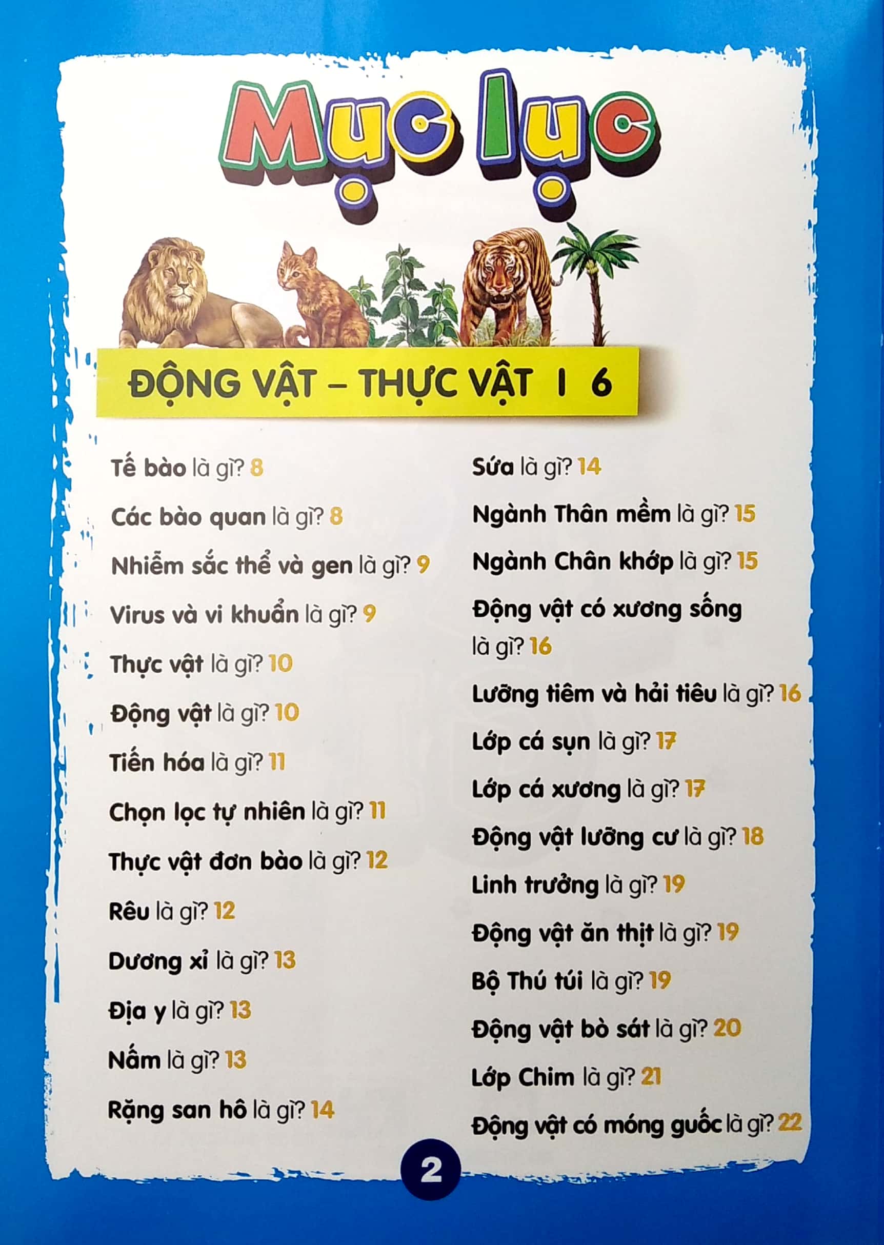 chìa khóa mở cửa thế giới - em muốn biết là gì?
