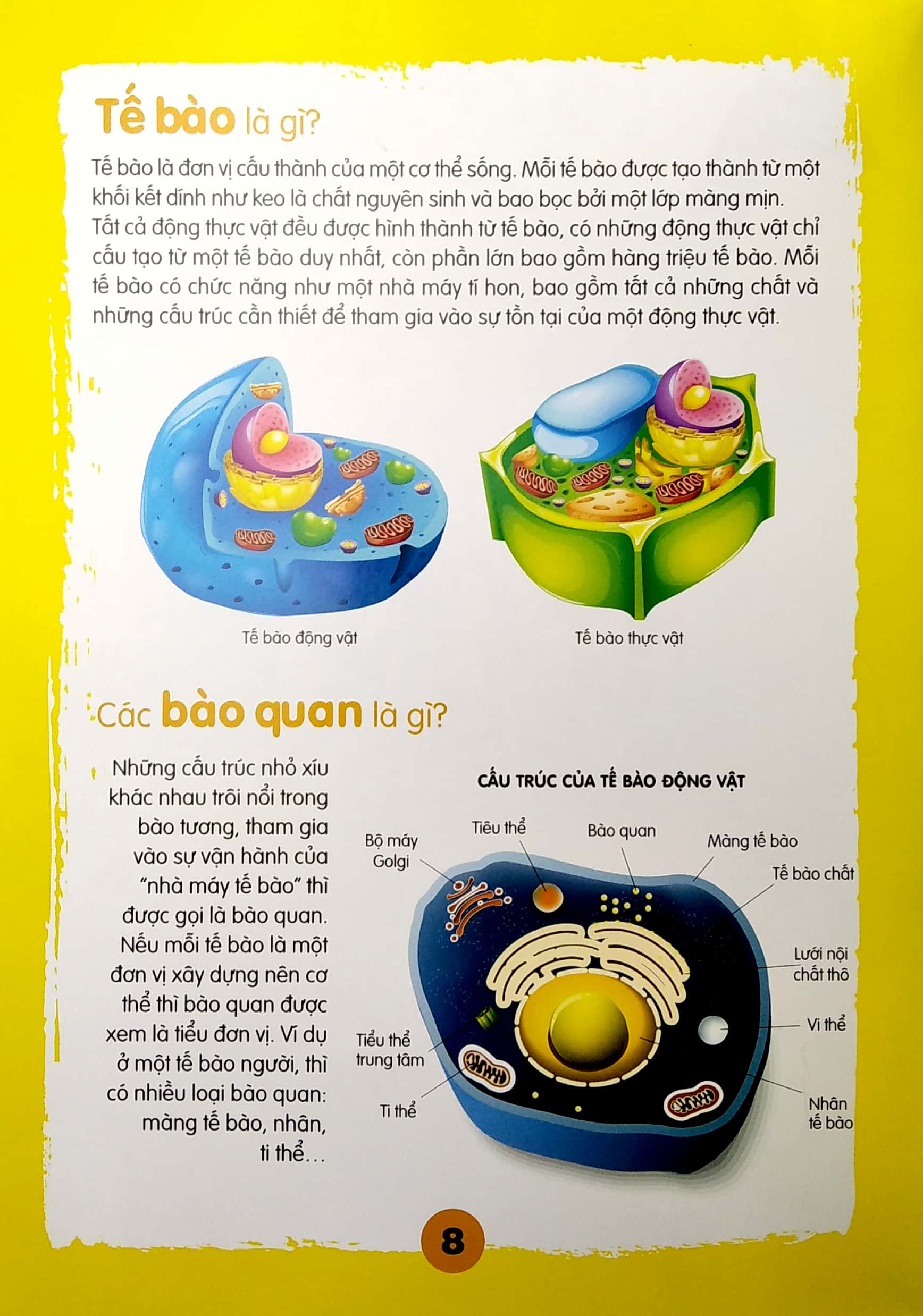 chìa khóa mở cửa thế giới - em muốn biết là gì?