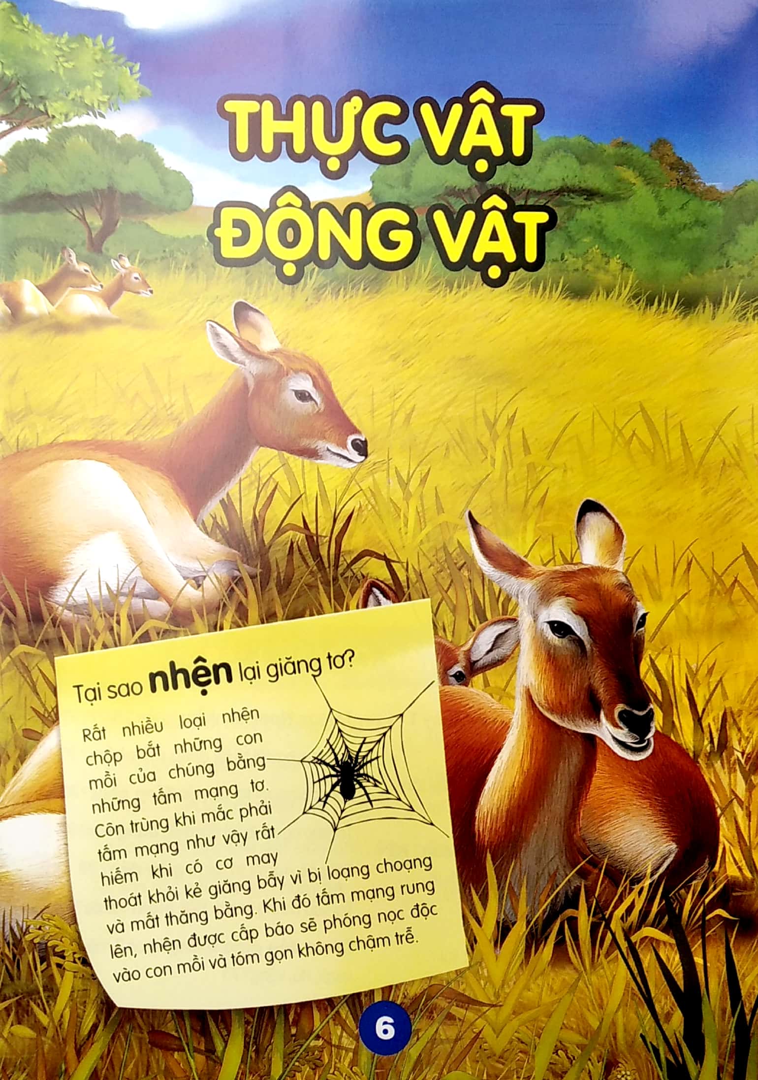 chìa khóa mở cửa thế giới - em muốn biết tại sao?