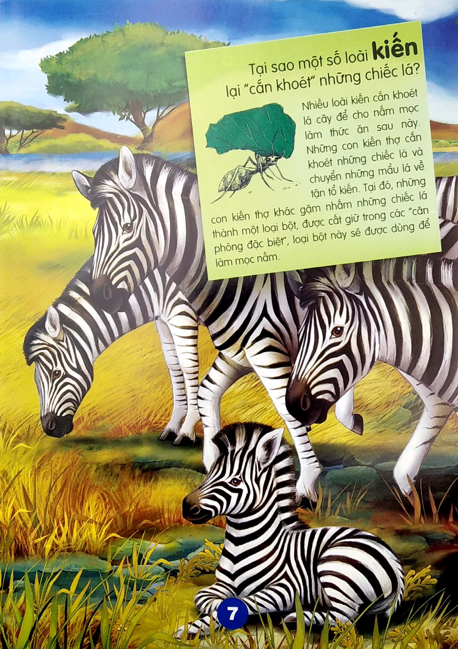 chìa khóa mở cửa thế giới - em muốn biết tại sao?