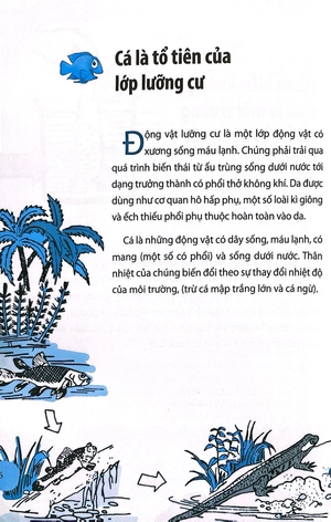 chìa khóa vàng - động vật (tái bản 2021)