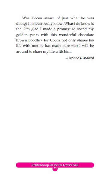 chicken soup for pet loverℹs soul - những người bạn nhỏ (tái bản 2023)