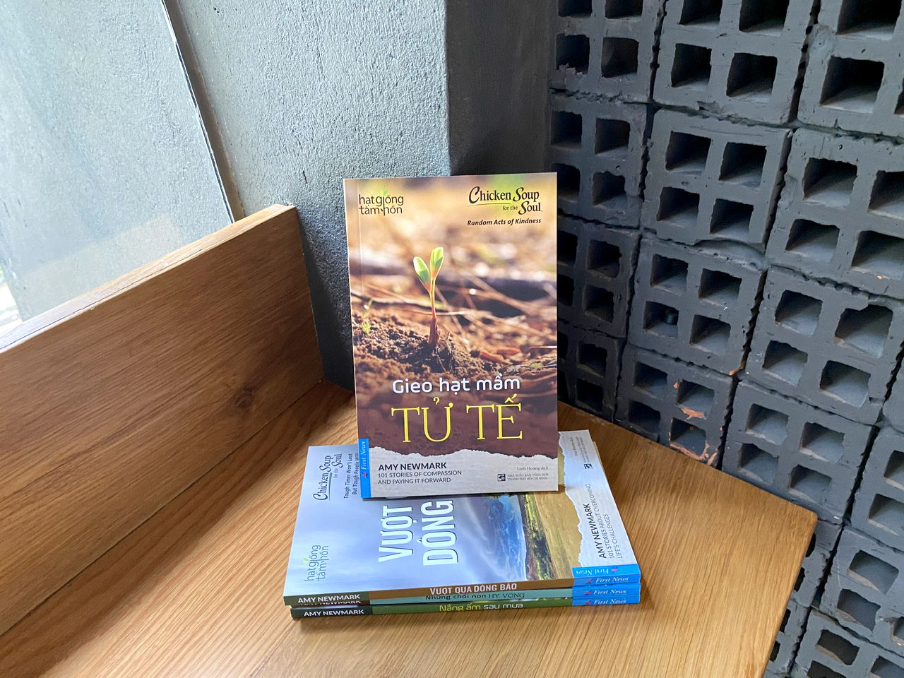 chicken soup for the soul - gieo hạt mầm tử tế