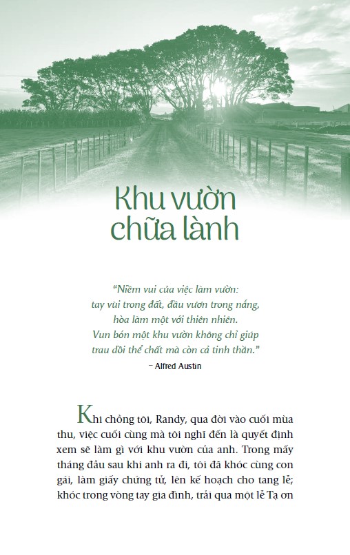 chicken soup for the soul - nắng ấm sau mưa