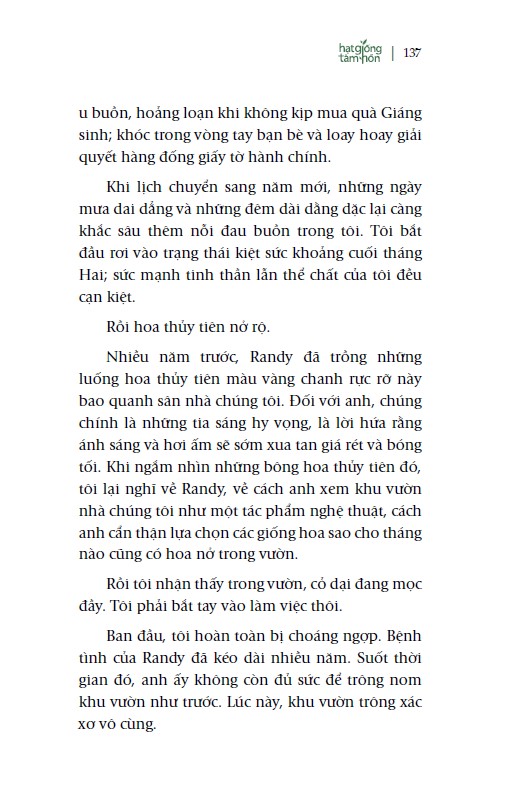 chicken soup for the soul - nắng ấm sau mưa