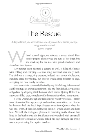 chicken soup for the soul: the dog did what?: 101 amazing stories of magical moments, miracles and... mayhem