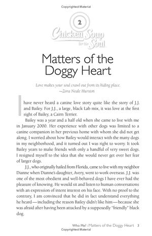 chicken soup for the soul: the dog did what?: 101 amazing stories of magical moments, miracles and... mayhem