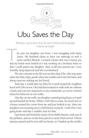 chicken soup for the soul: the dog did what?: 101 amazing stories of magical moments, miracles and... mayhem