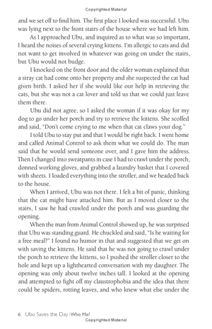 chicken soup for the soul: the dog did what?: 101 amazing stories of magical moments, miracles and... mayhem