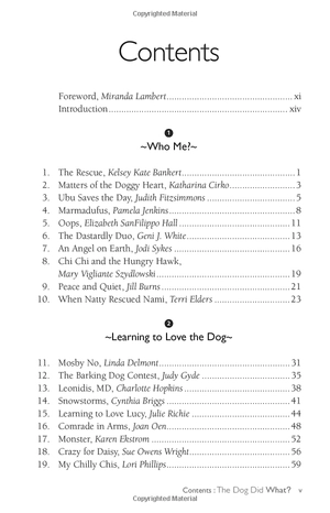 chicken soup for the soul: the dog did what?: 101 amazing stories of magical moments, miracles and... mayhem