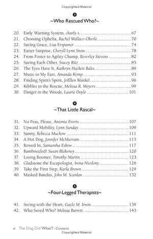 chicken soup for the soul: the dog did what?: 101 amazing stories of magical moments, miracles and... mayhem