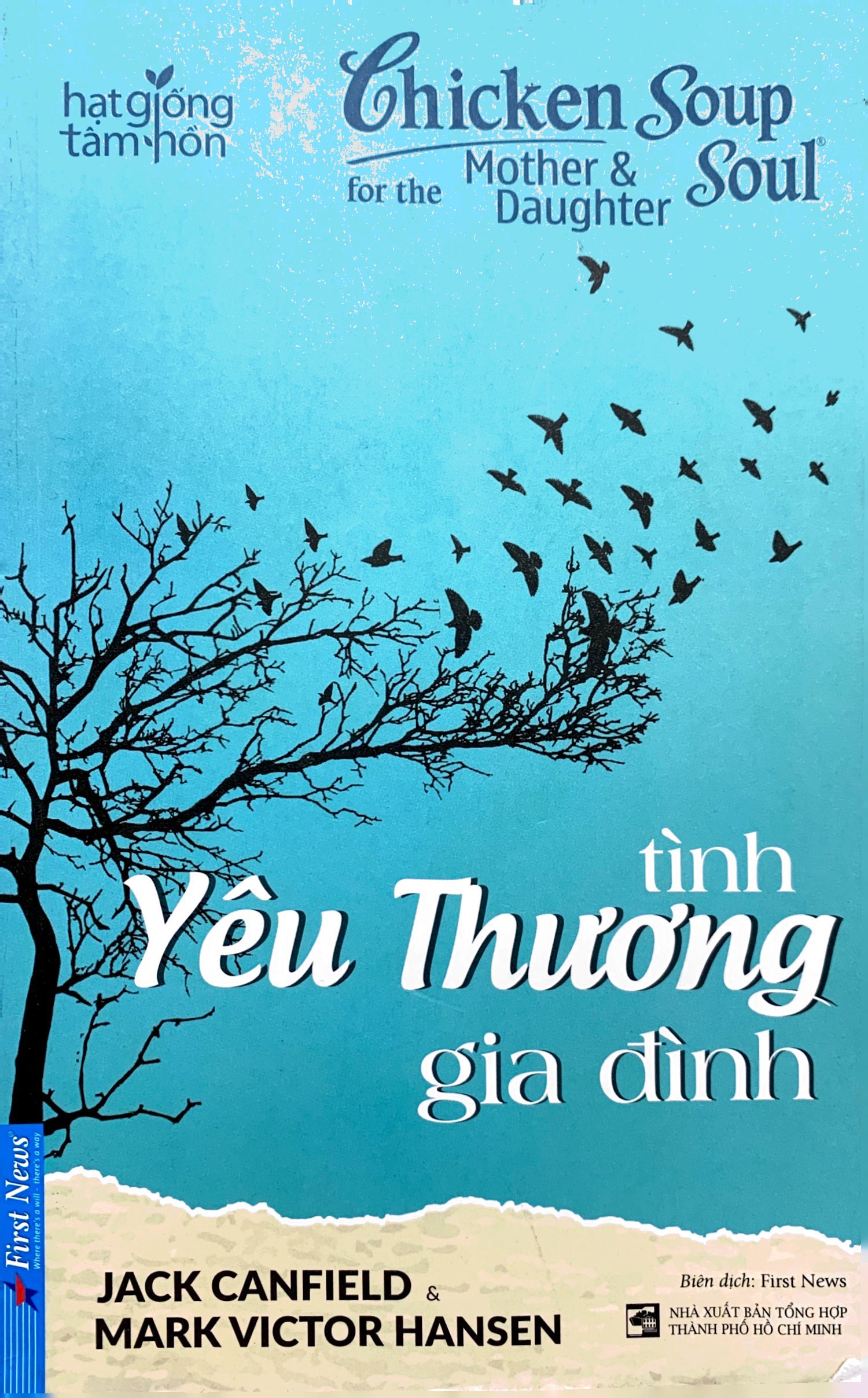 chicken soup for the soul - tình yêu thương gia đình (tái bản)