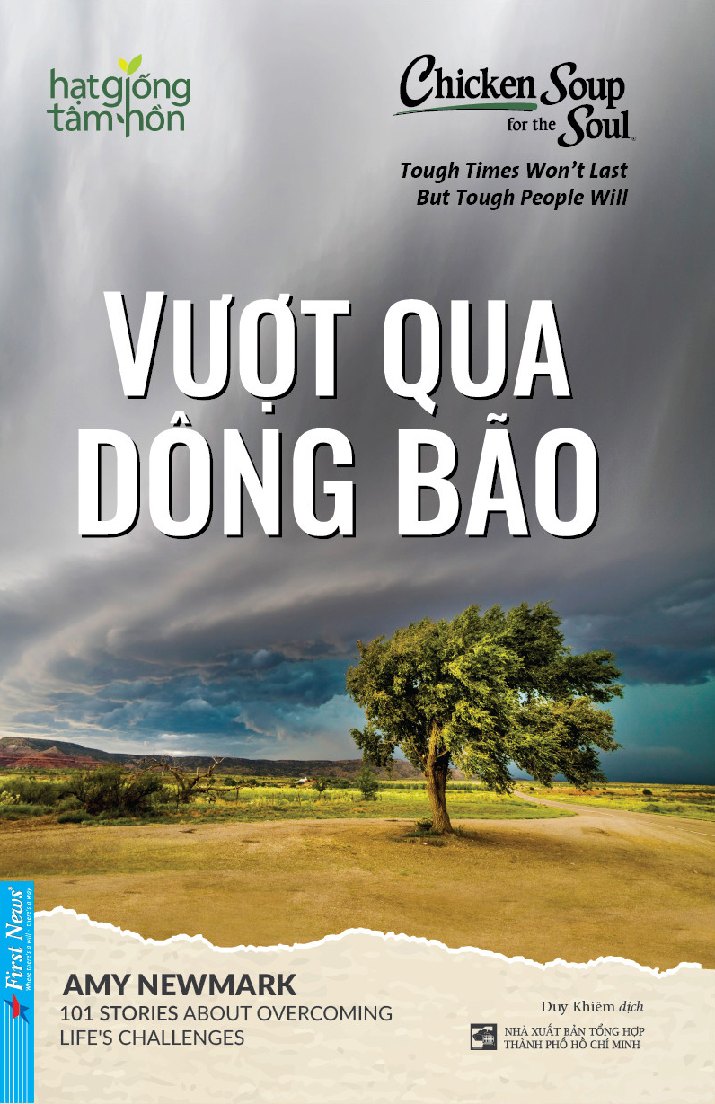 chicken soup for the soul - vượt qua dông bão