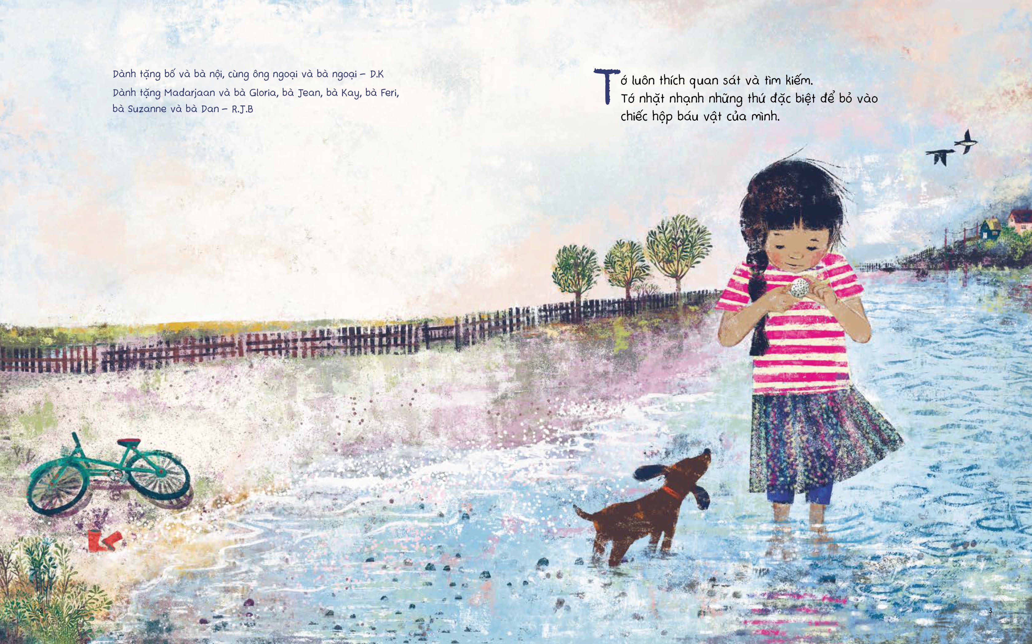 chiếc hộp báu vật