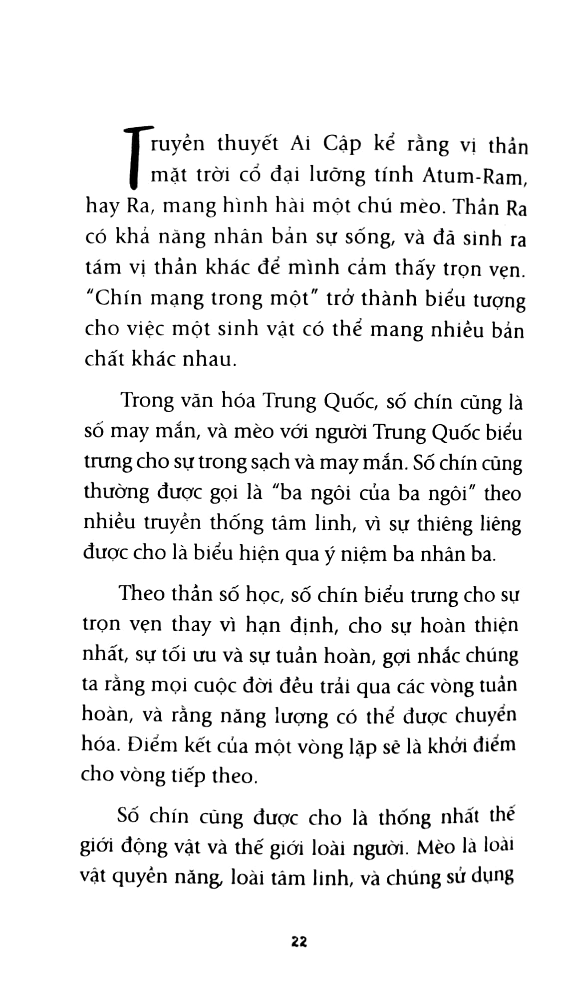 chiếc mèo kỳ diệu
