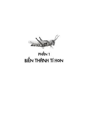 chiến binh tí hon trong thế giới côn trùng - tập 1