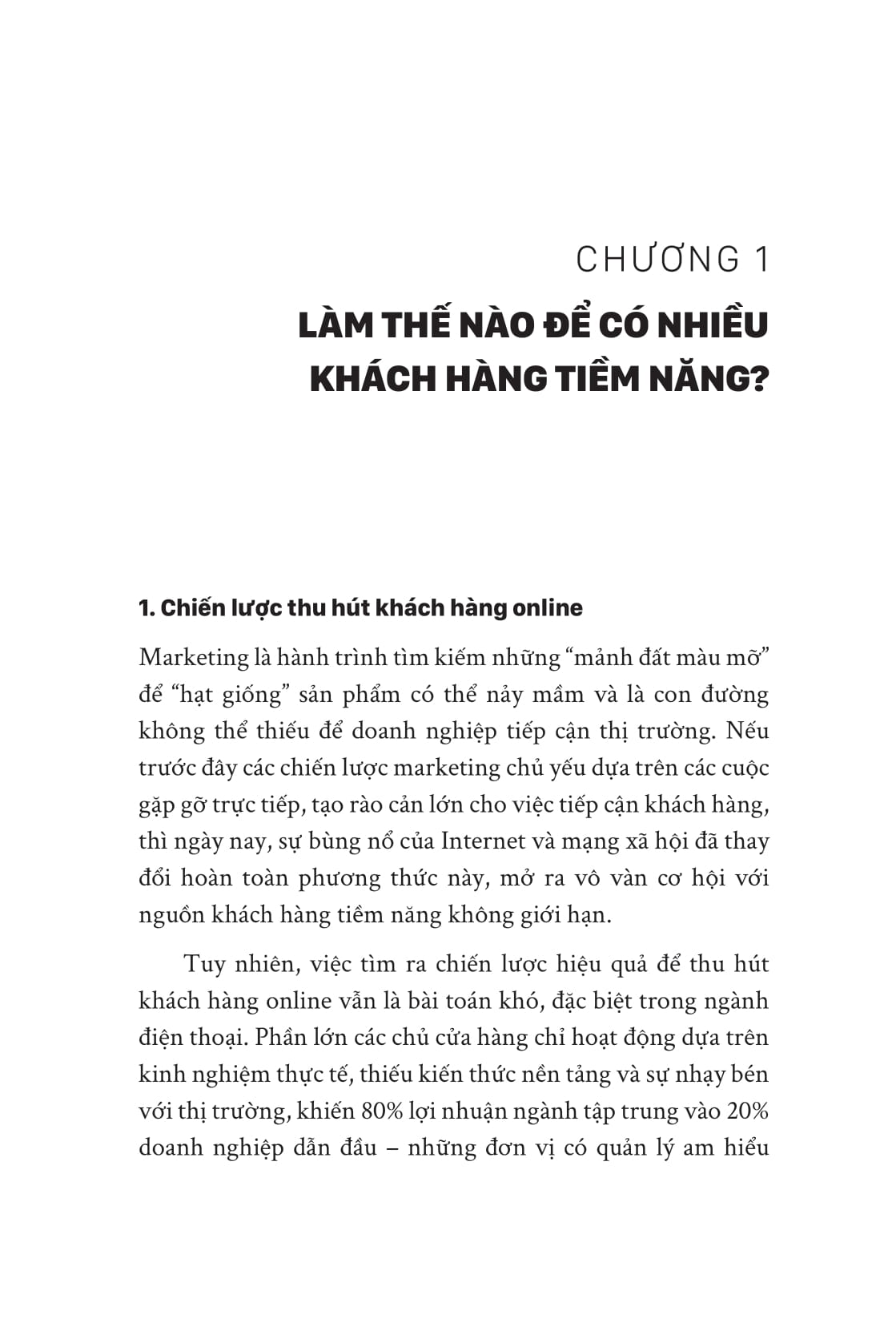 Chien Luoc Doanh Nghiep Dan Dau