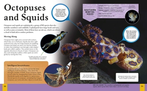 children's encyclopedia of ocean life