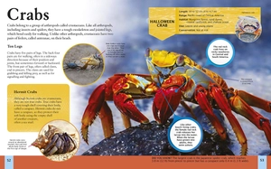 children's encyclopedia of ocean life