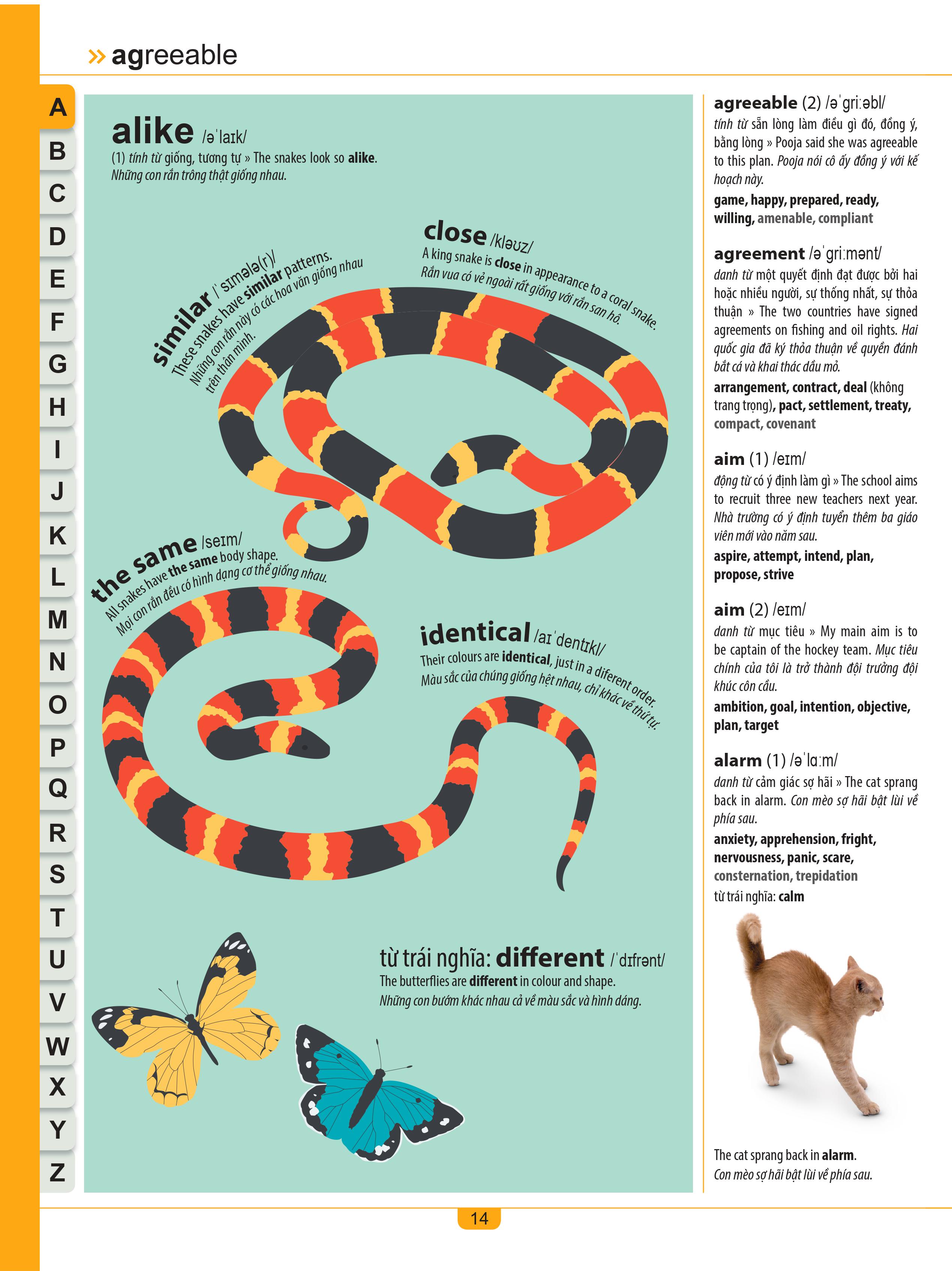 children's illustrated thesaurus - từ điển đồng nghĩa dành cho trẻ em