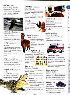 childrens picture dictionary - từ điển tranh dành cho trẻ em