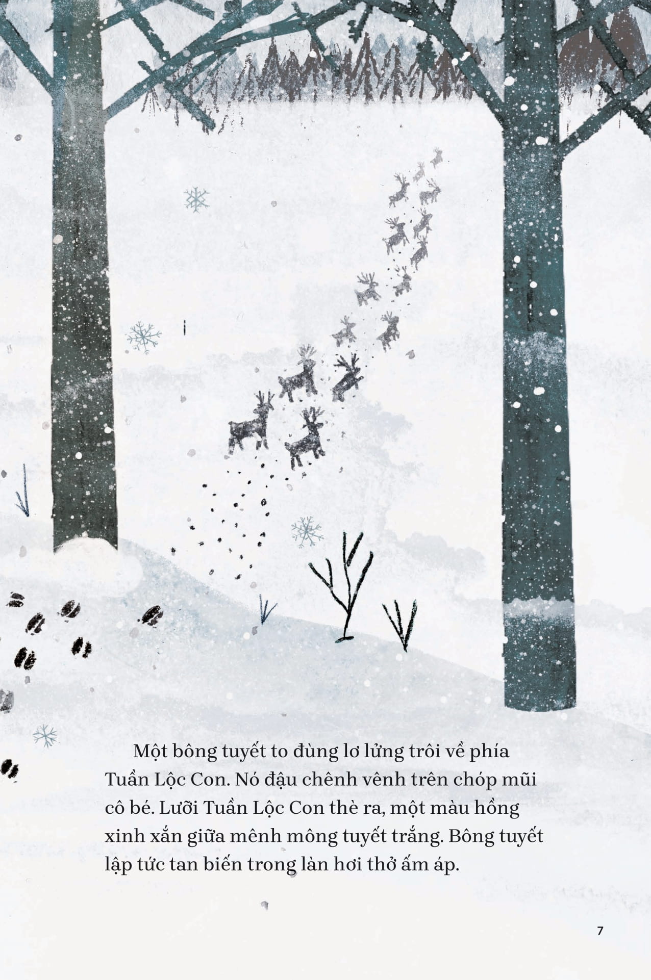 Chim Co Do Va Tuan Loc