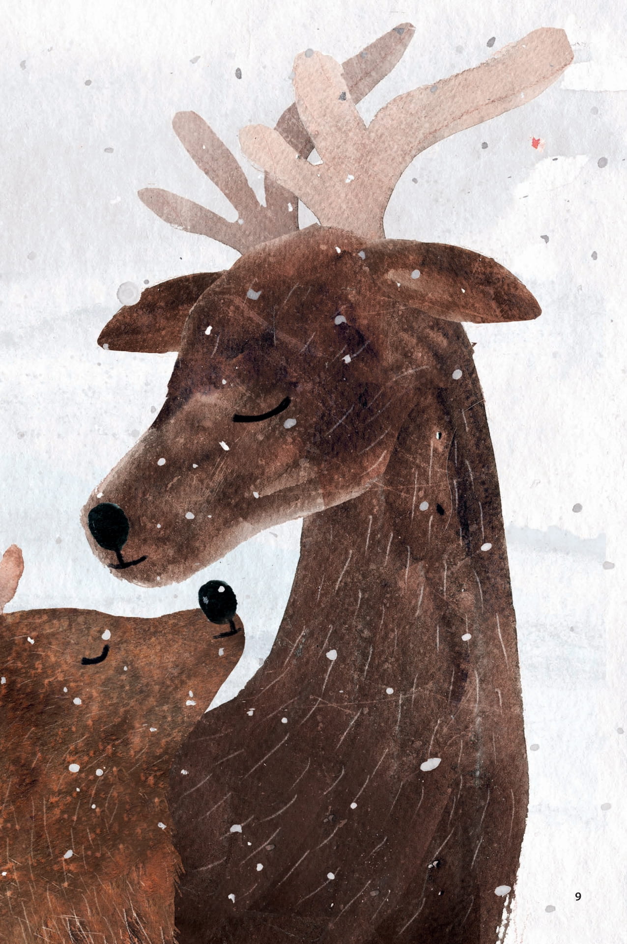 Chim Co Do Va Tuan Loc