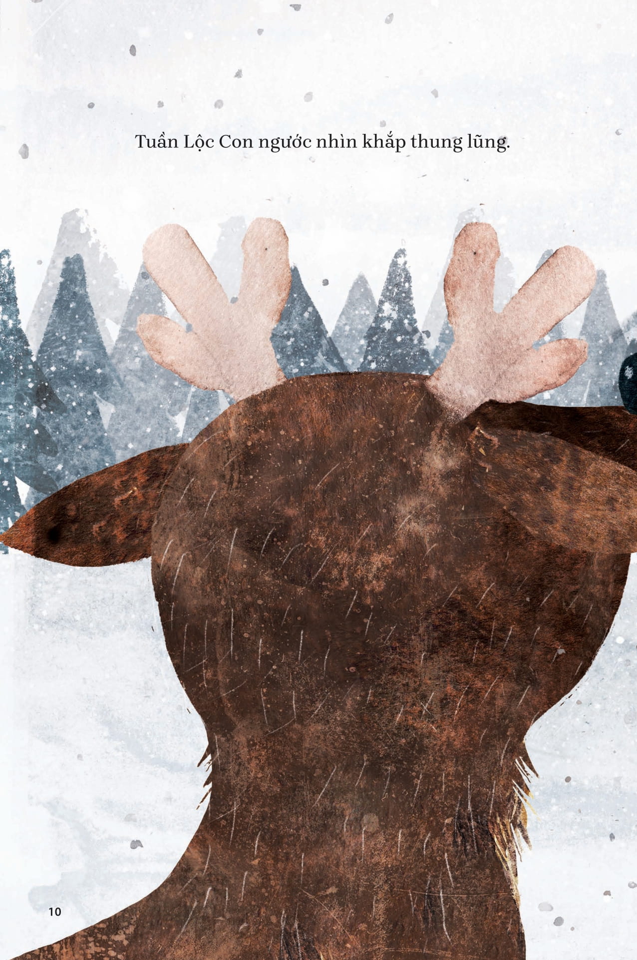 Chim Co Do Va Tuan Loc