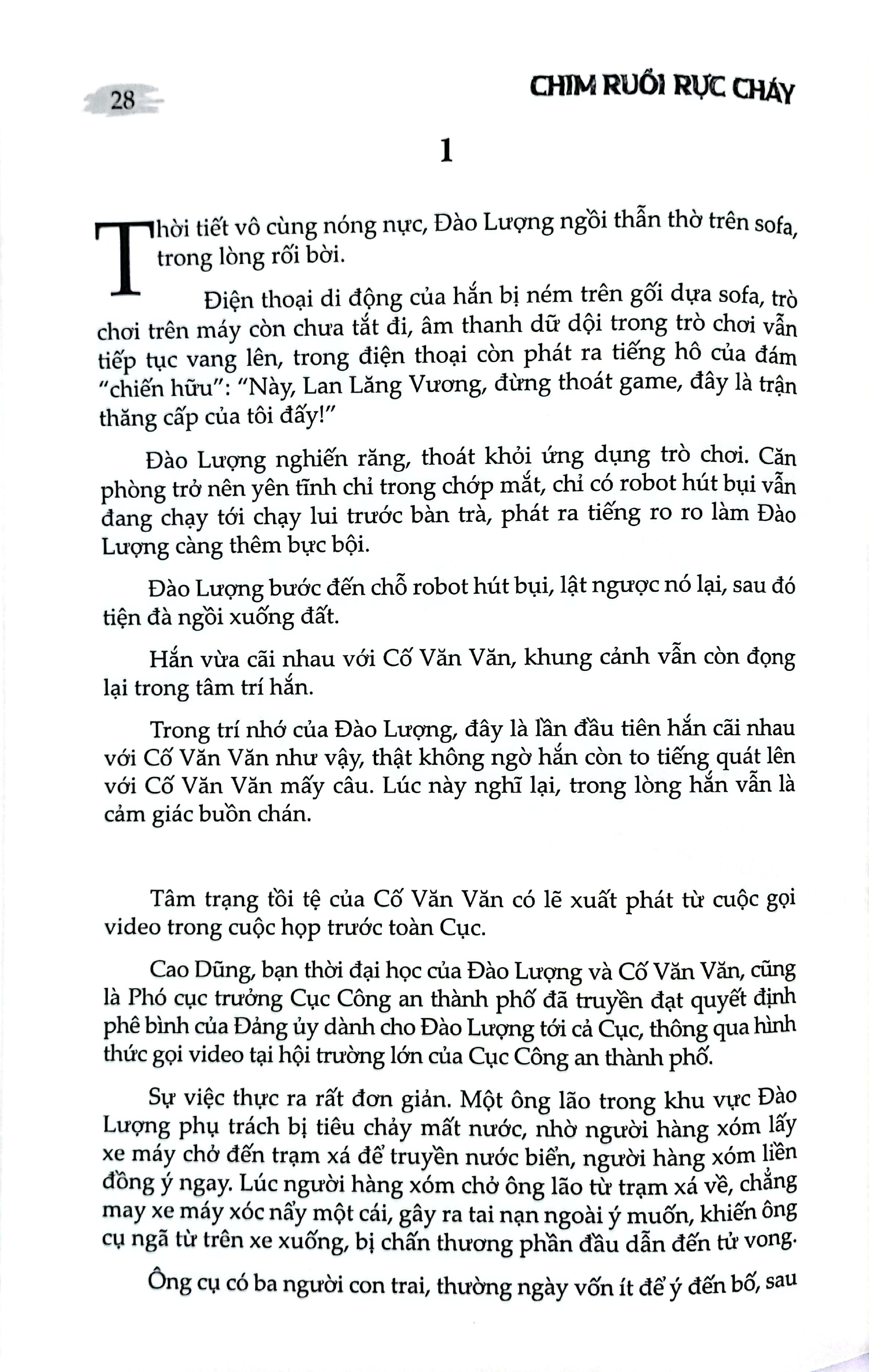 chim ruồi rực cháy