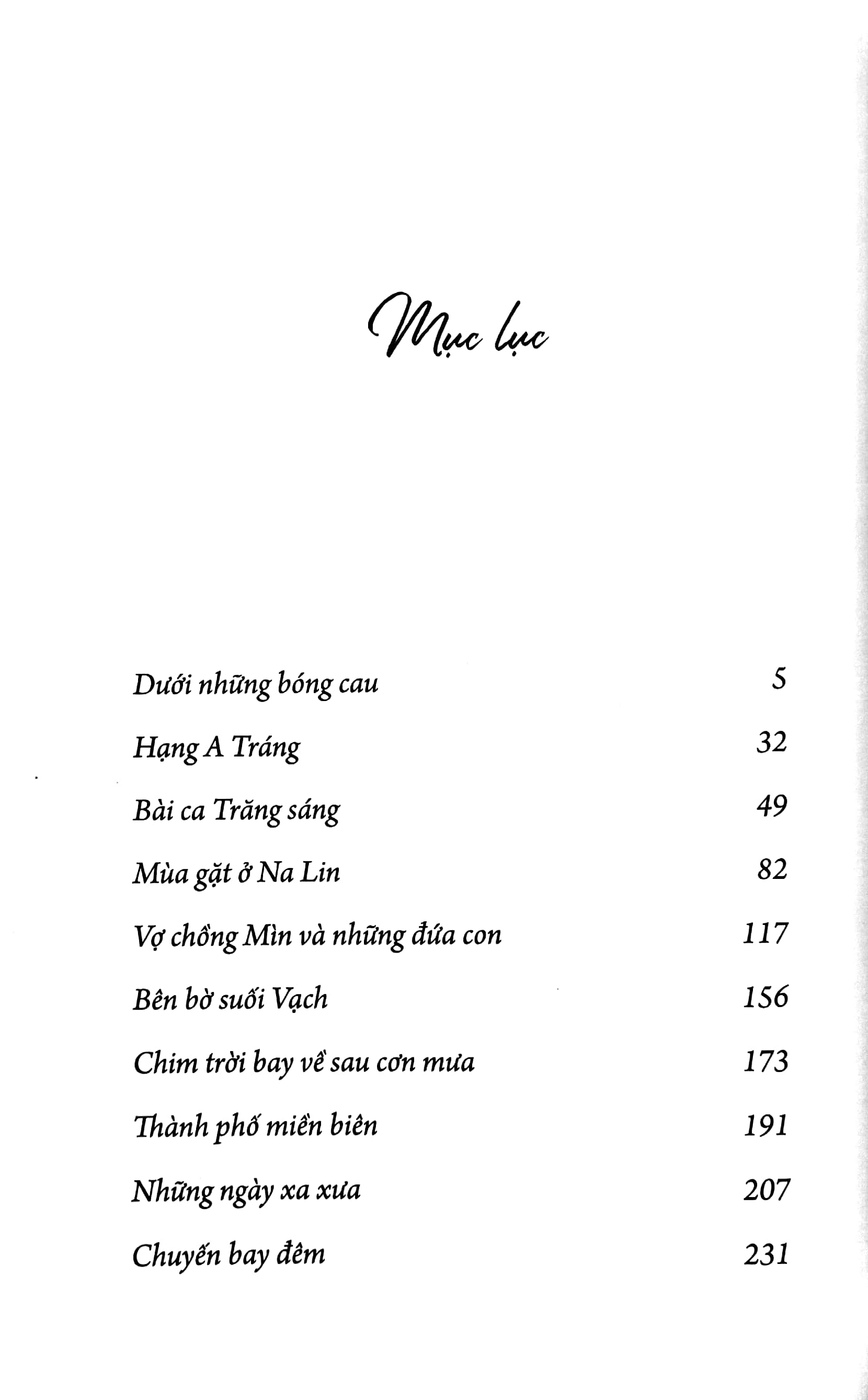 chim trời bay về sau cơn mưa