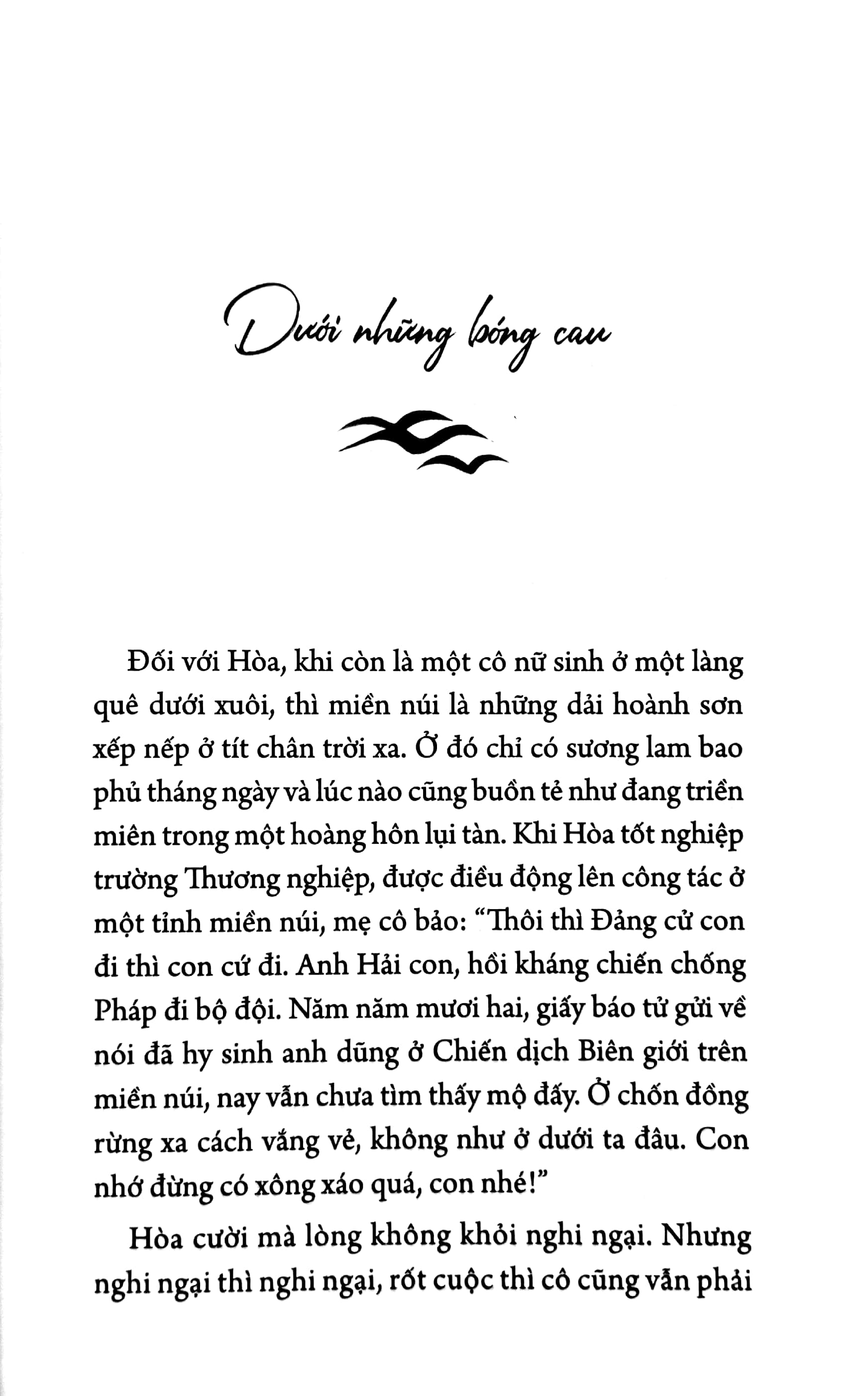 chim trời bay về sau cơn mưa