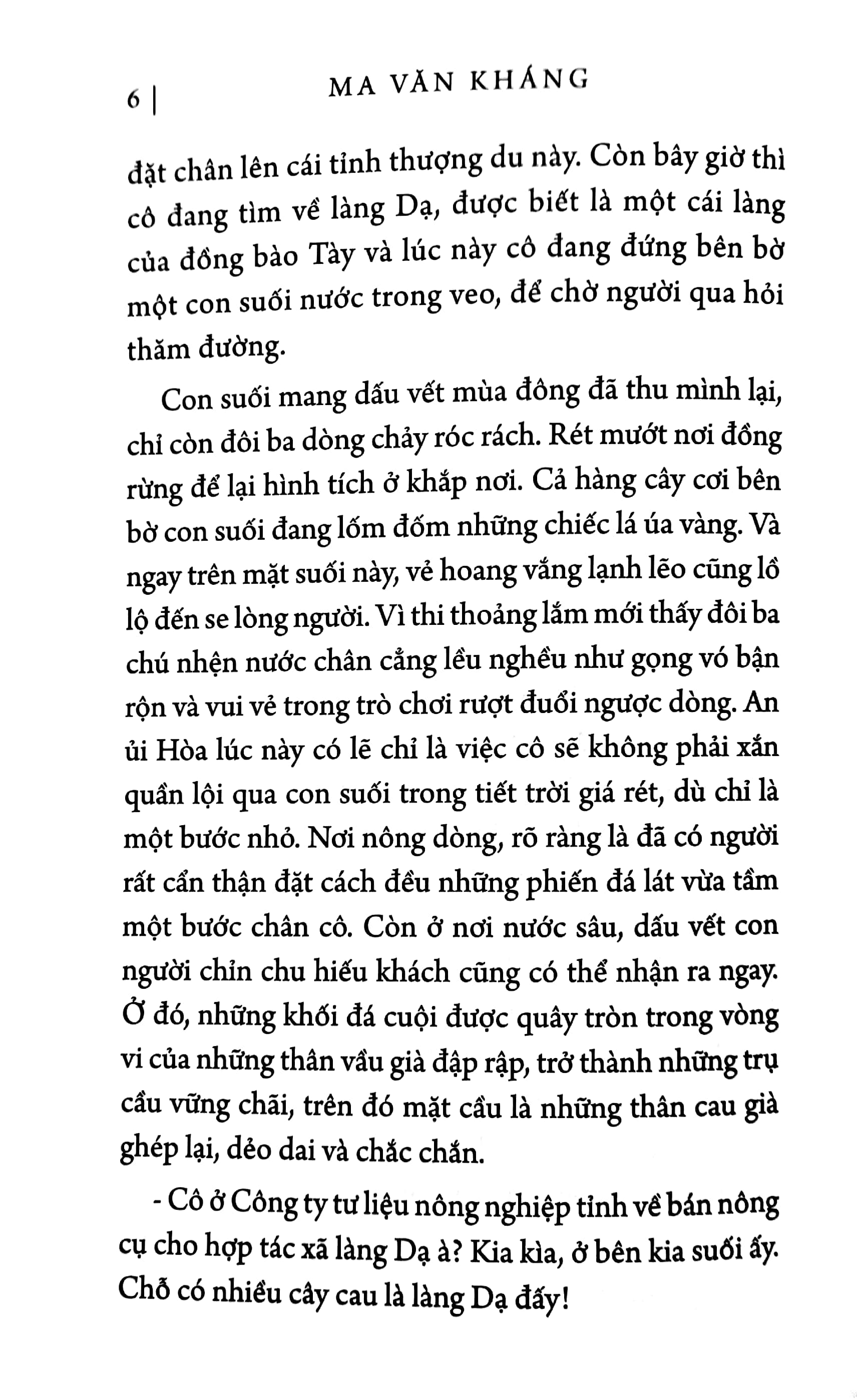 chim trời bay về sau cơn mưa