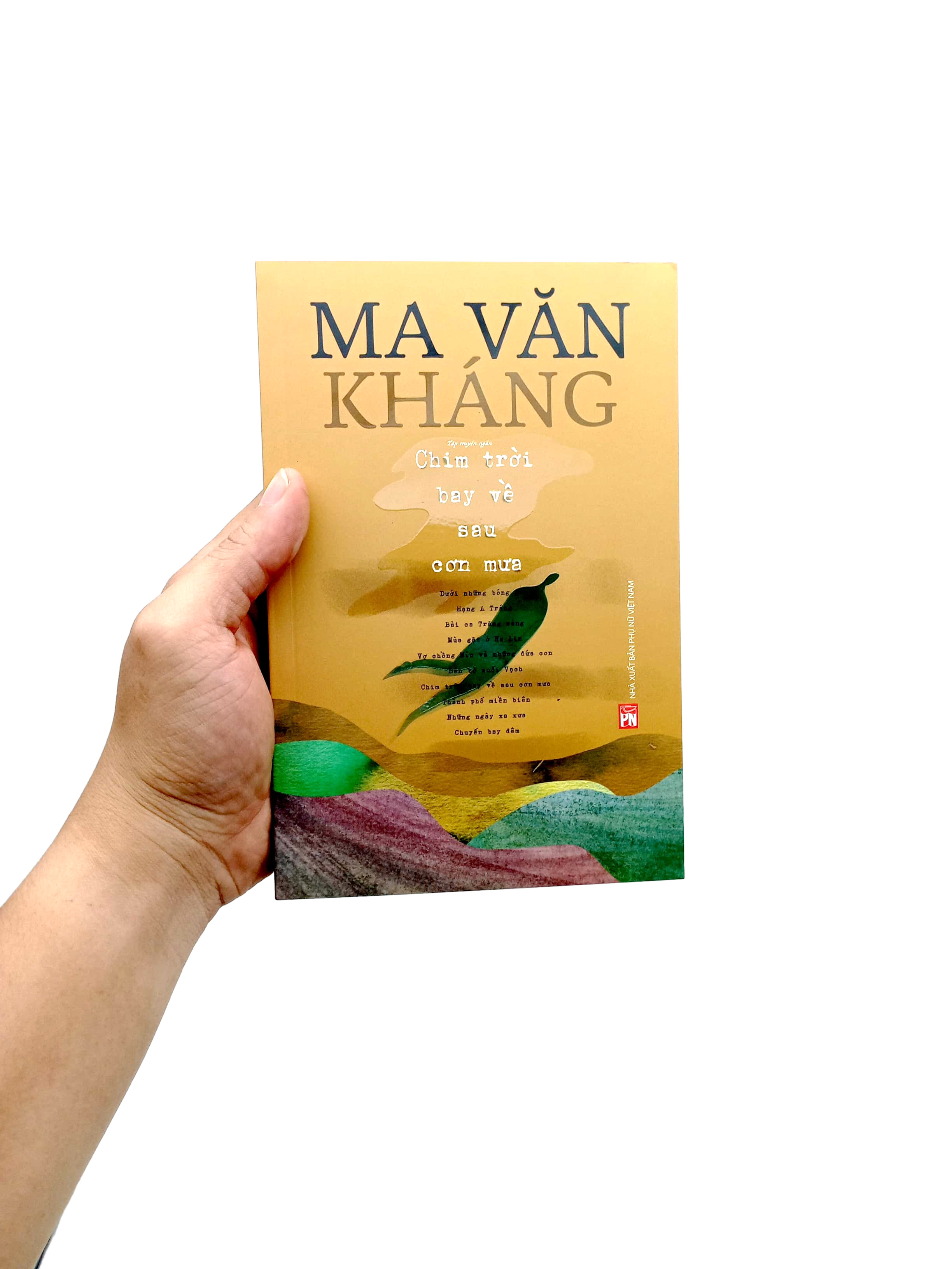 chim trời bay về sau cơn mưa