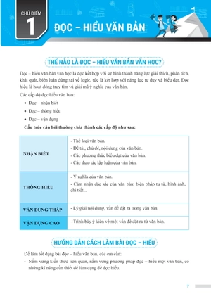 chinh phục đề thi vào 10 môn văn (tái bản)