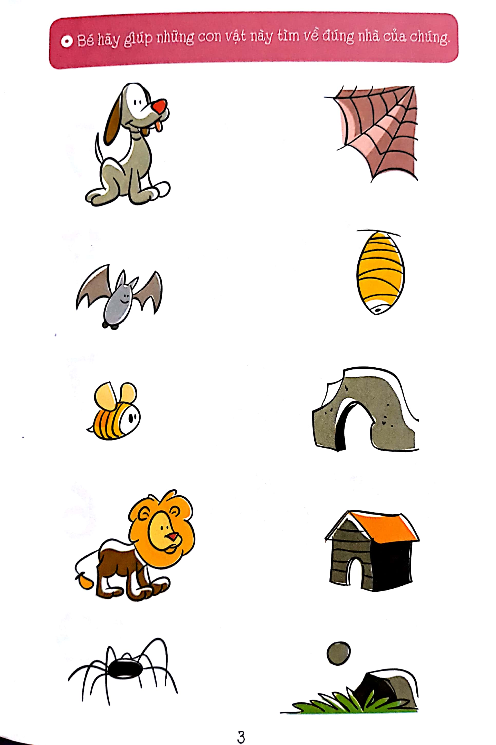 chơi mà học - my pink