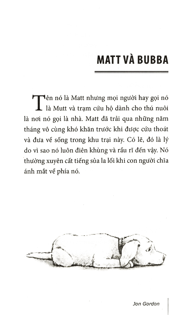 chú chó lạc quan (2016)