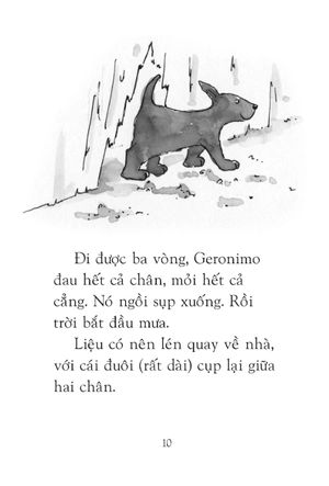 chú chó tưởng mình là mèo