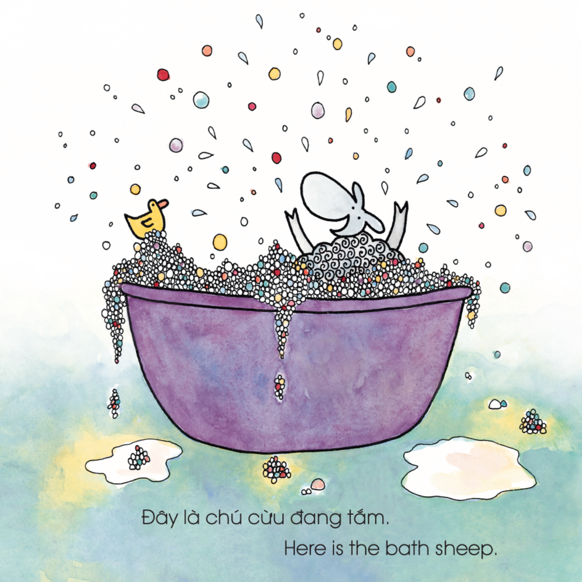 Chú Cừu Xanh Lá Ở Đâu Rồi Nhỉ?