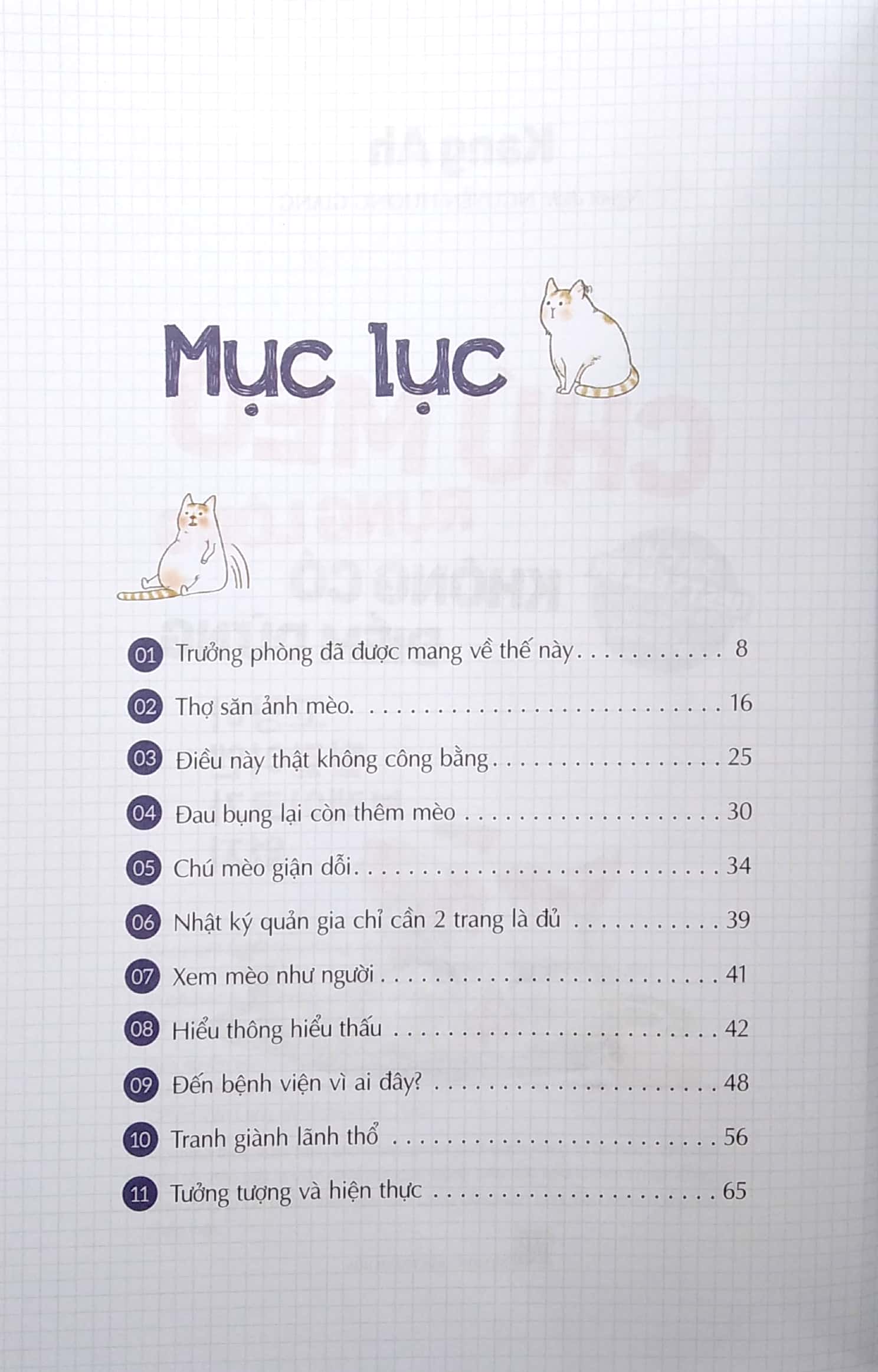 chú mèo rụng lông không có điểm dừng