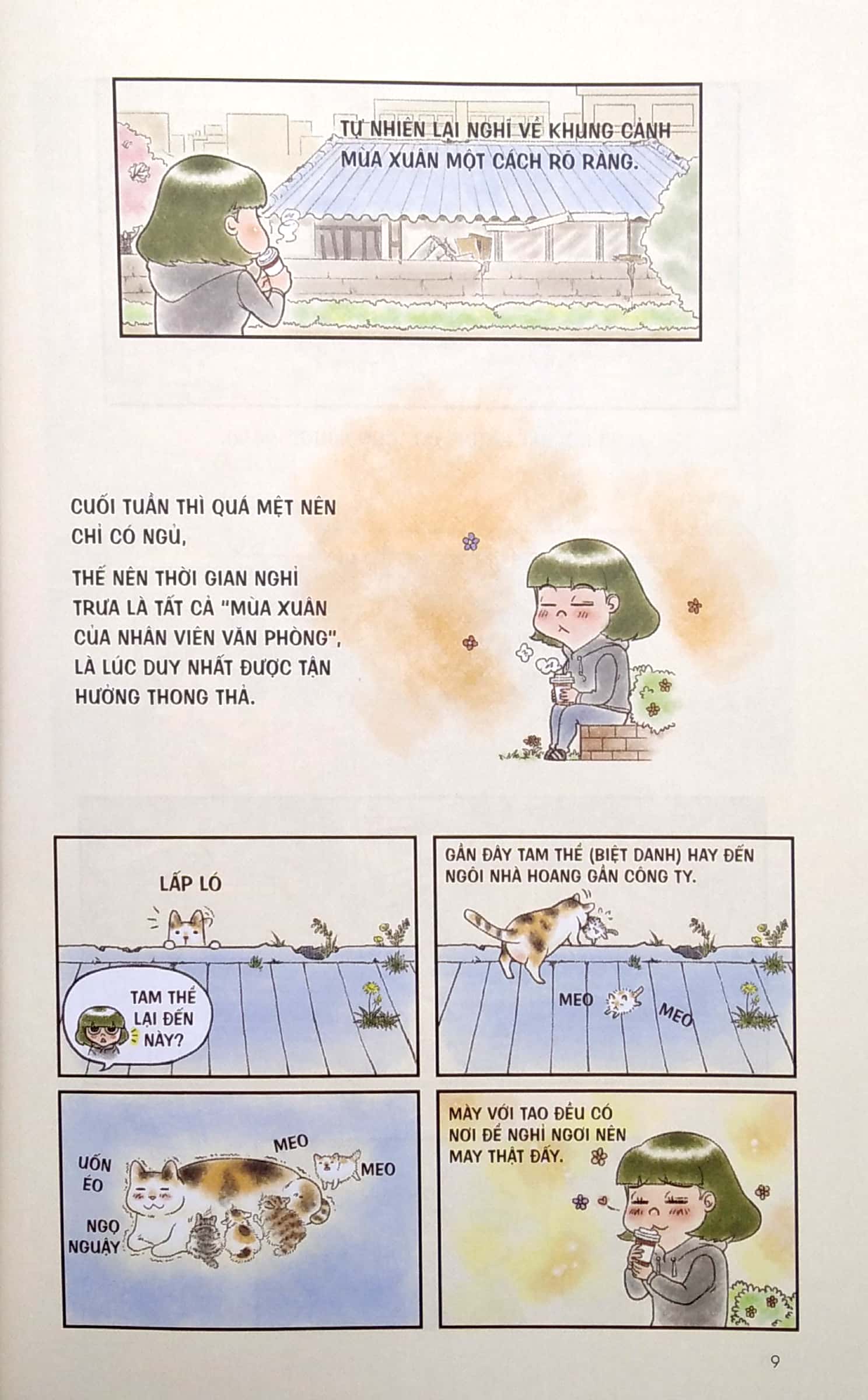 chú mèo rụng lông không có điểm dừng