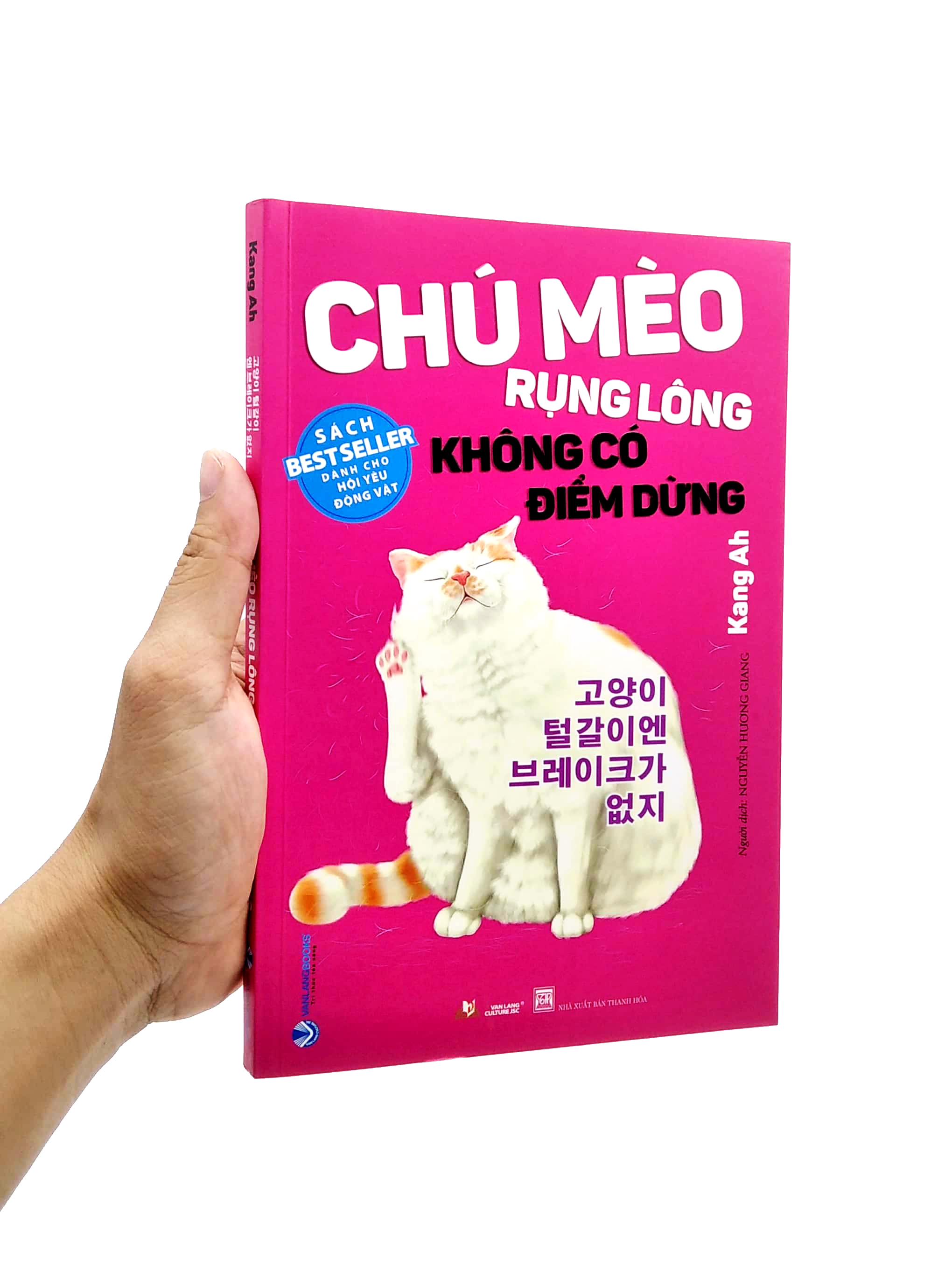chú mèo rụng lông không có điểm dừng