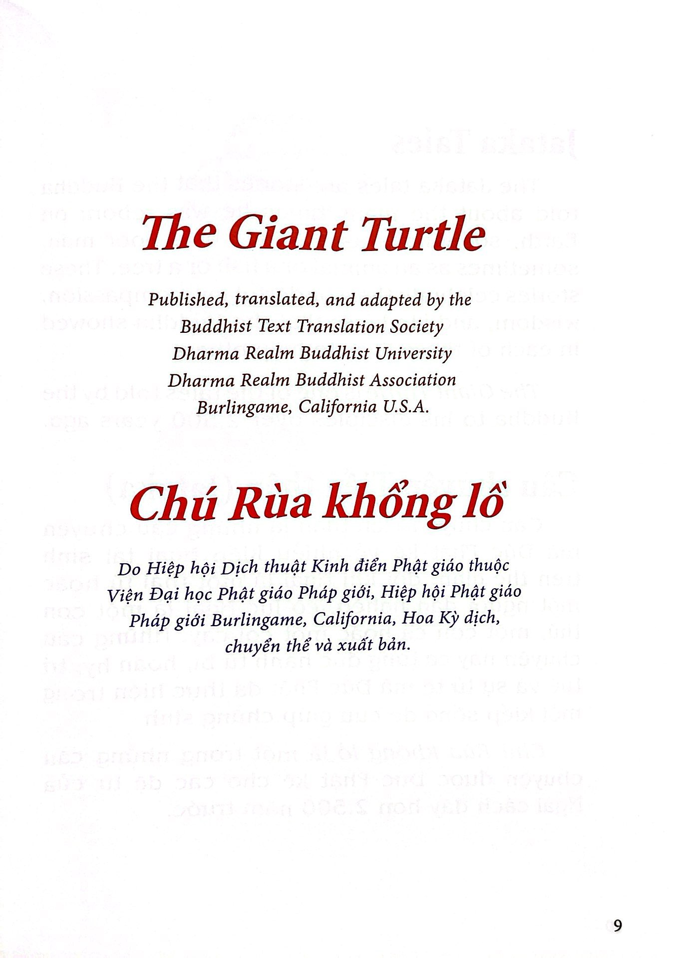 chú rùa khổng lồ - the gaint turtle