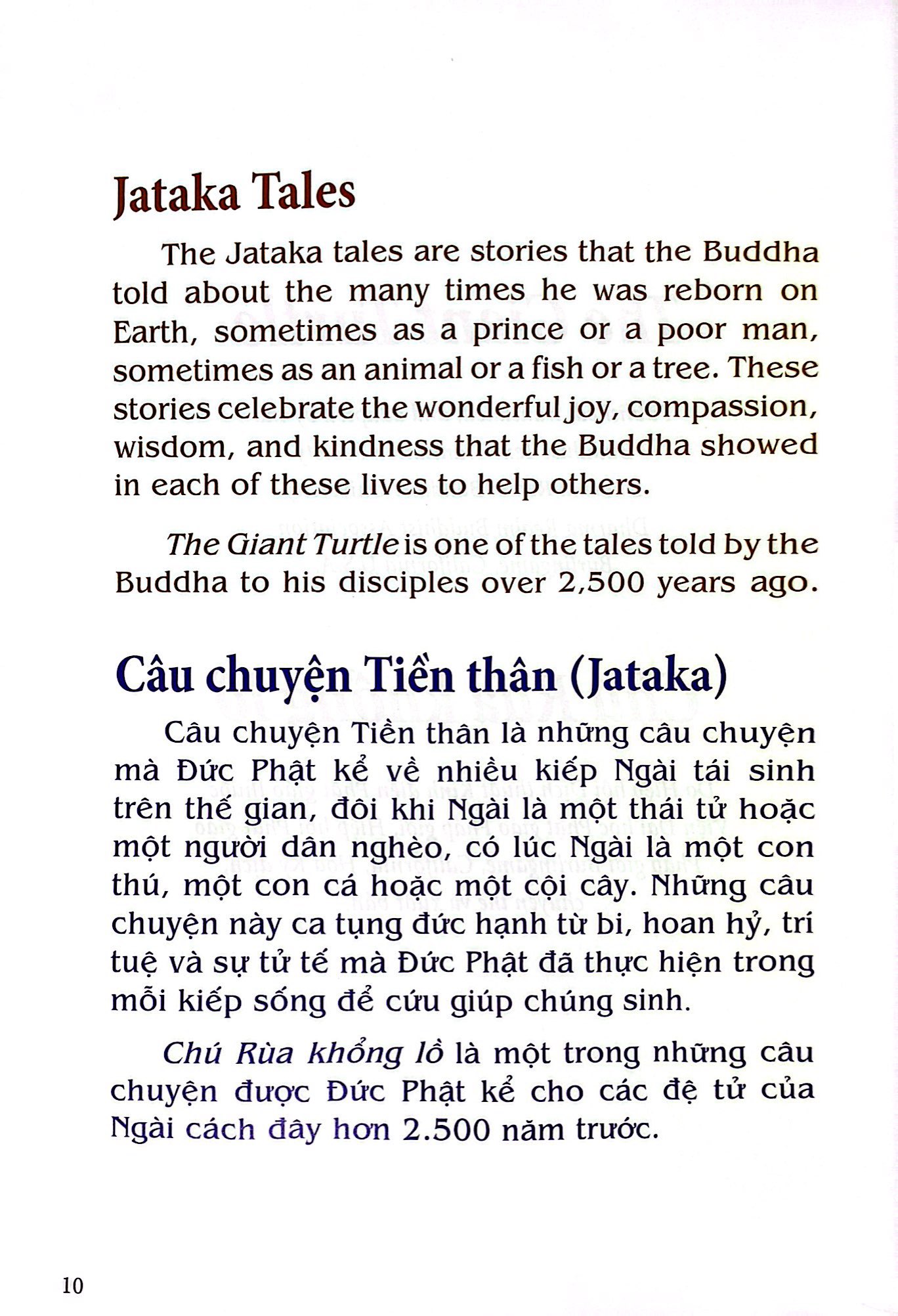 chú rùa khổng lồ - the gaint turtle